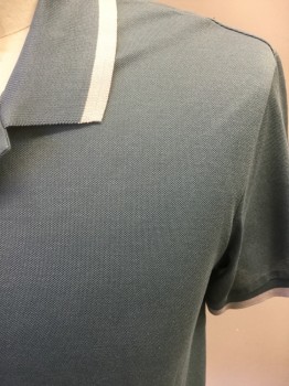 THEORY, Blue-Gray, Cotton, Solid, Pique Night, Short Sleeves, Blue/Gray and White Stripe Ribbed Knit Collar Attached/cuff, 2 Buttons