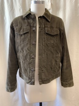 GAP, Dk Olive Grn, Cotton, Corduroy, Collar Attached, Button Front, Long Sleeves