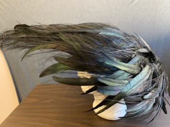 Womens, Hat 1890s-1910s, CARLOS PAVIAN, Black, Iridescent Green, Feathers, Wide Brim Picture Hat Covered in Coque and Egret Feathers, Base is Black Velvet, Flat Crown, Made To Order