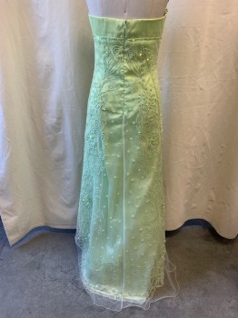 PRECIOUS FORMALS, Lt Green, Polyester, Strapless, Embroidered & Beaded Flowers & Vines on Mesh Over Lay, A-Line, Zip Back *Hole on End Side of Zipper