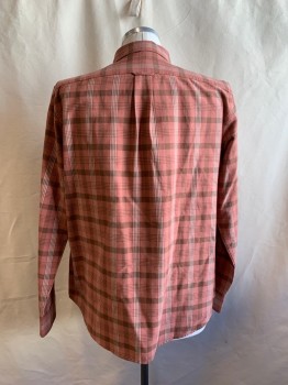 BEAN SIGNATURE, Rose Pink, Brown, White, Cotton, Plaid, Button Front, Collar Attached, Button Down Collar, 1 Pocket, Long Sleeves, Button Cuff