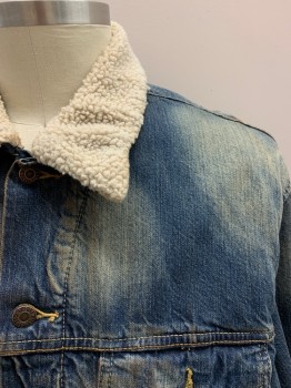 LEVI'S, Denim Blue, Cotton, Shearling, Faded, White Shearling Collar, Button Front, 4 Pockets *Aged/Distressed* MULTS