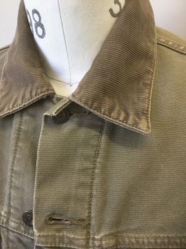 LEVI'S, Lt Brown, Cotton, Solid, Dusty Light Brown Denim/Canvas, Button Front, Light Brown Corduroy Collar Attached, 4 Pockets, Lining is Gray with Dark Gray and Red Horizontal Stripes