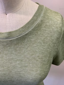 PLANET GOLD, Sage Green, Poly/Cotton, Heathered, Short Sleeves, Crew Neck, Rib Knit