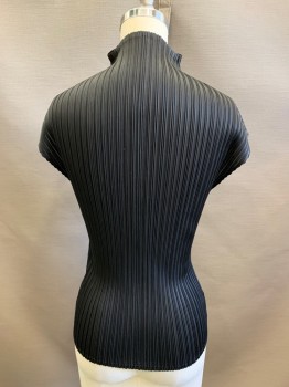NL, Black, Polyester, High Queen Anne Neckline, Cap Sleeve, All Over Accordion Pleat