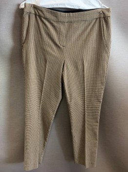 LIZ CLAIBORNE, Tan Brown, Brown, Black, Rayon, Polyester, Check , Pull On, Faux Fly & 4 Pckts, Black Elastic Back