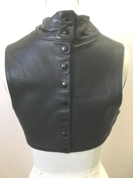 N/L, Black, Leather, Solid, Sleeveless, Mock Neck, V-shaped Pointy Waist, Cropped, Snap Closures in Back, Made To Order