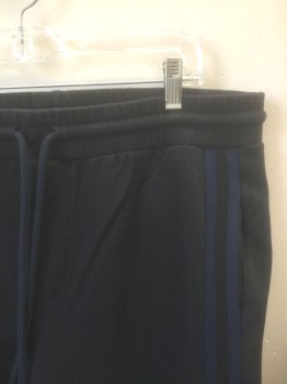 VELVET, Black, Navy Blue, Cotton, Solid, Jersey, Elastic Waist with Drawstring, 2 Navy Stripes at Outseam