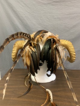 Unisex, Sci-Fi/Fantasy Headpiece, MISS G DESIGNS, Brown, Gold, Beige, Fur, Feathers, Bandeau Style Headpiece Covered in Fur, Large Gold Antlers/Horns at Sides, Gold Painted Animal Skull at Center Front, Curled Pheasant Feathers, Made To Order