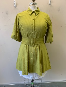 ZARA, Chartreuse Green, Cotton, Polyamide, Stripes, Large Puff S/S, C.A., Button Front, Self Stripe, Matching Belt with Large Buckle