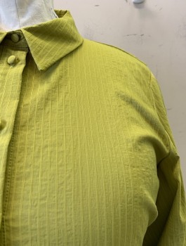 ZARA, Chartreuse Green, Cotton, Polyamide, Stripes, Large Puff S/S, C.A., Button Front, Self Stripe, Matching Belt with Large Buckle