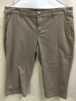 REITMANS, Taupe, Cotton, Spandex, Solid, Taupe, Flat Front, Zip Front, 4 Pockets, Below Knee Length