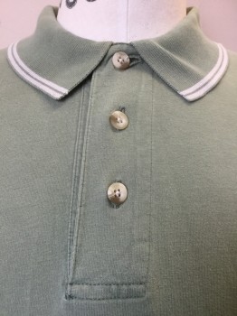 COLUMBIA, Sage Green, Ecru, Cotton, Cotton, Solid, Stripes, Sage with 2 Ecru Stripes on Collar Attached, Short Sleeves Trim, 3 Button Front, Side Split Hem