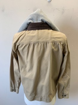 Mens, Casual Jacket, N/L, Lt Khaki Brn, Lt Gray, Dk Brown, Cotton, Solid, S, Zipper and Snap Front, Lt Gray Hoodie Sewn In, Dk Brown Corduroy Collar, 4 Pockets, Canvas/Duck Cloth, Work Wear