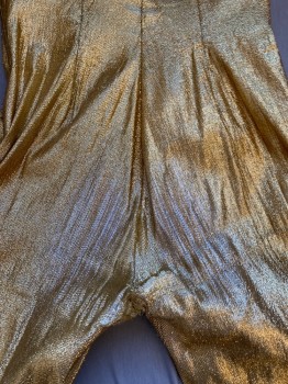 Womens, Evening Pants, NL, Gold, Synthetic, Lurex, Solid, W 26, High Waist With Boning, Side Zipper, Stretch, Stirrups, Butt A Little Worn