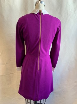 Womens, Dress, Long & 3/4 Sleeve, TED BAKER, Purple, Viscose, Polyamide, Solid, Sz.2, Knit, White Contrast Collar with Rhinestone Stud Detail, White Contrast Cuff, Inverted Pleated Skirt, Back Rose Gold Zipper, 2 Pockets