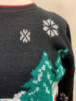 N/L, Black, Red, Green, White, Tan Brown, Acrylic, Holiday, Christmas Theme, Black Sky with Couple on Sleigh Though , Snowflakes, Green House, Crew Neck