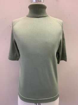 DONEGAL, Avocado Green, Acetate, Polyester, Solid, Knit, Turtle Neck, Pullover, Short Sleeves