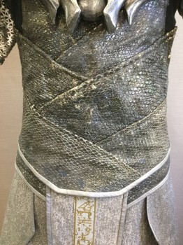 Mens, 5+ Pieces, BILL HARGATE COSTUME, Black, Silver, Gray, Gold, Lt Gray, Leather, Cotton, Solid, Novelty Pattern, W 40, Ch 42, Silver Leather Yoke in Feather Shapes, Zip/Velcro Back, Iridescent Silver reptile Texture Crossover Panels Through Waist, Crossover in Back with Velcro Closures, Short Sleeves, Solid Silver Leather Top Sleeves, Lower Sleeve in Geometric Laser Silver, Metallic Gray Faux Metal Armor: 2 Shoulder Horned Pieces, 1 Feather Shaped Breastplate, 1 Feather Shaped Back Plate, All Armor Attached with Velcro, Textured Silver Skirt/Loincloth, Layered Panel Skirt Sides, Light Gray with Gold Hieroglyphic Center Front, Panel From Neckline and Down Loincloth, Solid Silver Leather Epaulets