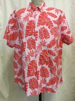 BONOBOS, Lt Pink, Red, Cotton, Tropical , Lt Pink/ Red Leaf Print, Button Front, Button Down Collar, Short Sleeves
