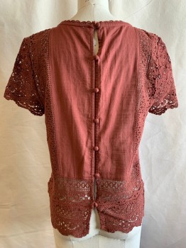 Womens, Top, ABERCROMBIE & FITCH, Burnt Orange, Cotton, Floral, Leaves/Vines , S, Scoop Neck, Crochet See Through Panels & Sleeves. Eyelet Floral Detail at Center Front, Button Back, Short Sleeves