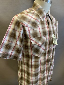 Mens, Western, ELY CATTLEMAN, Brown, White, Red, Poly/Cotton, Plaid-  Windowpane, L, S/S, Snap Front, Collar Attached, Western Style Yoke, 2 Patch Pockets with Flaps
