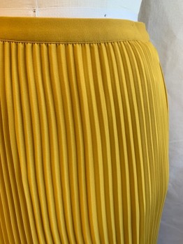BABATON, Goldenrod Yellow, Polyester, Solid, Goldenrod Yellow Accordian Pleats, Long, Elastic Waistband
