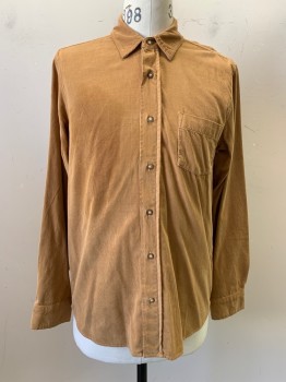 Velvet, Camel Brown, Cotton, Solid, L/S, Button Front, C.A., Chest Pocket