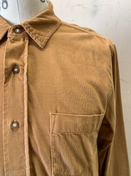 Velvet, Camel Brown, Cotton, Solid, L/S, Button Front, C.A., Chest Pocket