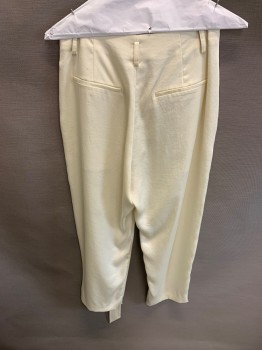 ANTHROPOLOGIE, Beige, Polyester, With Matching Belt, Zip Front, Side Pockets, 2 Welt Pockets At Back, Pleated Front