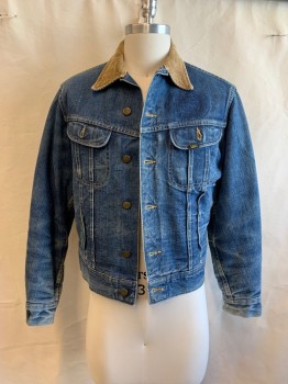 Mens, Jean Jacket, LEE, Denim Blue, Beige, Cotton, Solid, Heathered, 38, JEAN JACKET, Beige Corduroy C.A., Button Front, 2 Pockets, Brown and Yellow Striped Wool Lining