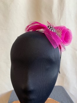 Womens, Fascinator, N/L, Fuchsia Pink, Black, White, Beige, Plastic, Feathers, Solid, Polka Dots, Headband Festooned with 3 Horsehair Rosettes and Bows, Dotted and Hot Pink Chicken Feathers and Some Small Pink Plastic Pearls