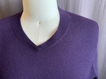 Mens, Pullover Sweater, SAKS FIFTH AVENUE, Aubergine Purple, Wool, Acrylic, Solid, S, Ribbed Knit Angled V-neck, Ribbed Knit Waistband/Cuff, Ribbed Knit Shoulder Panel