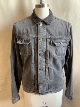ALL SAINTS, Lt Gray, Cotton, Solid, Button Front, Corduroy Collar Attached, 2 Pockets, Front Yoke, Long Sleeves, Button Cuff
