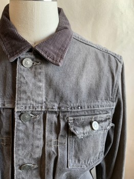 ALL SAINTS, Lt Gray, Cotton, Solid, Button Front, Corduroy Collar Attached, 2 Pockets, Front Yoke, Long Sleeves, Button Cuff