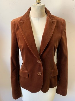 THEORY, Brown, Cotton, Lycra, Solid, Single Breasted, 2 Buttons, Velveteen, 2 Pockets, Peaked Lapel,