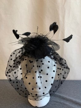 Womens, Fascinator, N/L, Black, Plastic, Feathers, Solid, Small Teardrop Base with Double Hair Clips, Horsehair Bow, Novelty Dot Netted Veil,