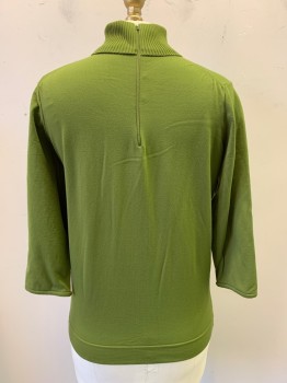 SWITCH MATES, Pea Green, Rayon, Turtleneck, 1/4 Zip Back, Ribbed Neck, 3/4 Sleeve