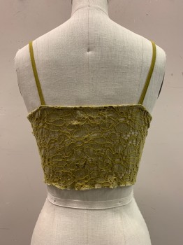 URBAN OUTFITTERS, Moss Green, Cotton, Nylon, Solid, Spaghetti Strap, V-N, Button Front, Lace With Lied Bra Cups, Cropped