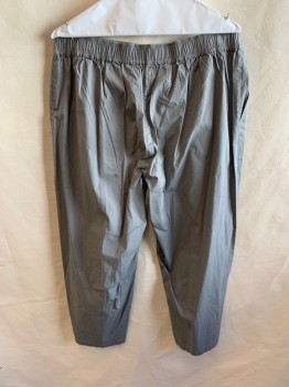 Womens, Capri Pants, EILEEN FISHER, Gray, Cotton, Spandex, Solid, L, 2 Pockets, Zip Fly, Button Closure, Elastic Waistband