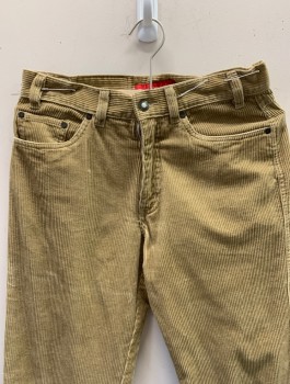 Mens, Casual Pants, EXPLORER, Beige, Cotton, Solid, Ins:30, W:28, Corduroy, Straight Leg, Zip Fly, 5 Pockets, Belt Loops