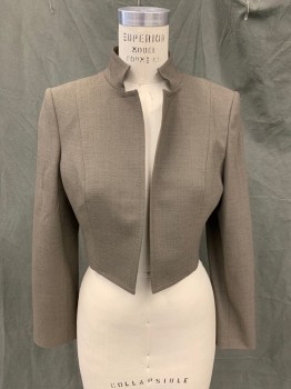 Womens, Suit, Jacket, ANNE KLEIN, Brown, Polyester, Viscose, Heathered, B: 38, 10, Stand Collar, Pick Stitching on collar and vertical seams, Slits on Sleeves 