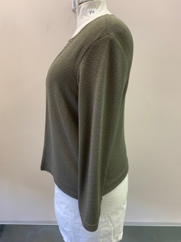 CHRISTIE & JILL, Olive Green, Black, Polyester, Solid, Stripes - Horizontal , One Piece Cardigan Over Shell Look, L/S, Single Clasp Front, Shimmery Knit
