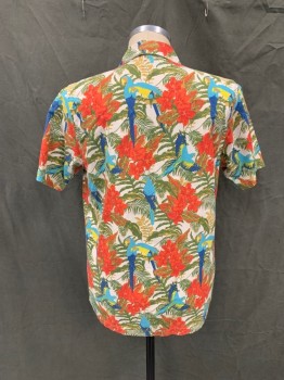 OBEY, Red, Off White, Green, Aqua Blue, Navy Blue, Cotton, Floral, Novelty Pattern, Flowers and Toucans, Button Front, Collar Attached, Short Sleeves, 1 Pocket