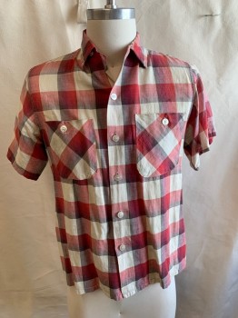 SANFORIZED, White, Red, Gray, Cotton, Check , S/S, Button Front, Chest Pockets with Buttons, Back Darts,