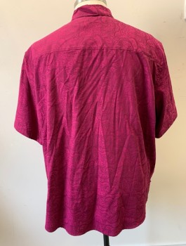 ROBERT GRAHAM, Magenta Pink, Cotton, Paisley/Swirls, Self Pattern Jacquard, S/S, Button Front, Collar Attached