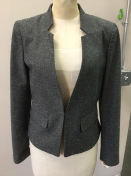ANN TAYLOR, Black, White, Cotton, Polyester, Stripes - Micro, Speckled, Salt and Pepper Speckled W/white, Hook and Eye Closure, Notched Inverted Lapel, Pocket Flap,