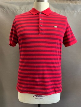 LACOSTE, Red, Red Burgundy, Cotton, Stripes - Horizontal , C.A., 1/4 Button Front, S/S