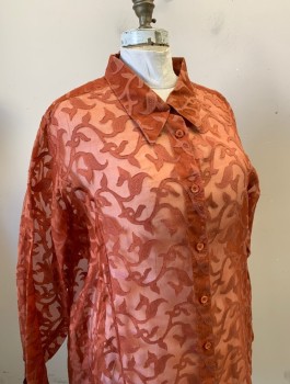 ASHLEY STEWART, Burnt Orange, Silk, Swirl , Paisley/Swirls, Sheer Organza with Opaque Vine/Swirl Like Appliques with Paisley Ends, Long Sleeves, Button Front, Collar Attached