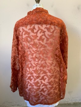 ASHLEY STEWART, Burnt Orange, Silk, Swirl , Paisley/Swirls, Sheer Organza with Opaque Vine/Swirl Like Appliques with Paisley Ends, Long Sleeves, Button Front, Collar Attached
